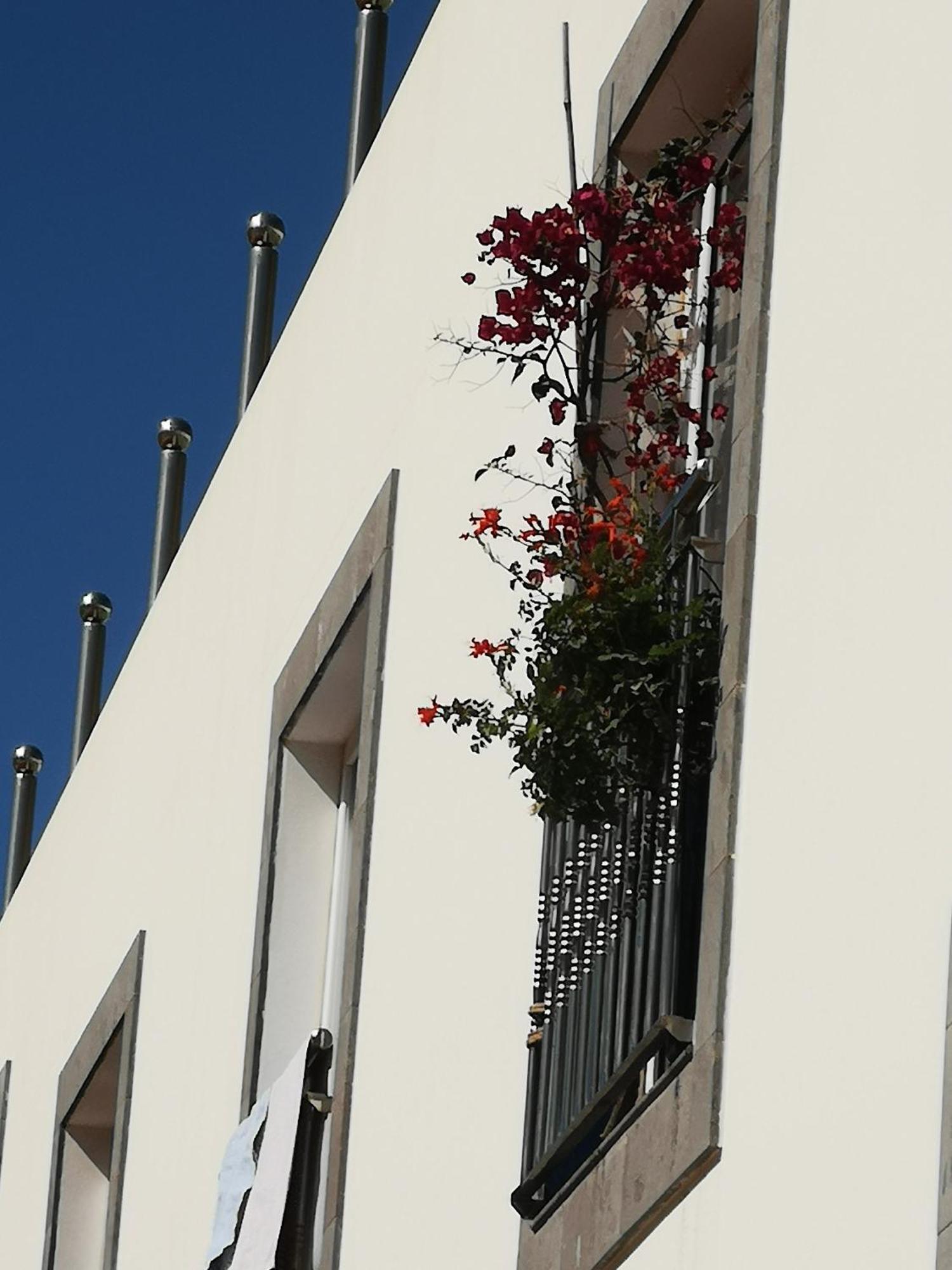 Appartamento Puerto De Mogan Sonneland Esterno foto