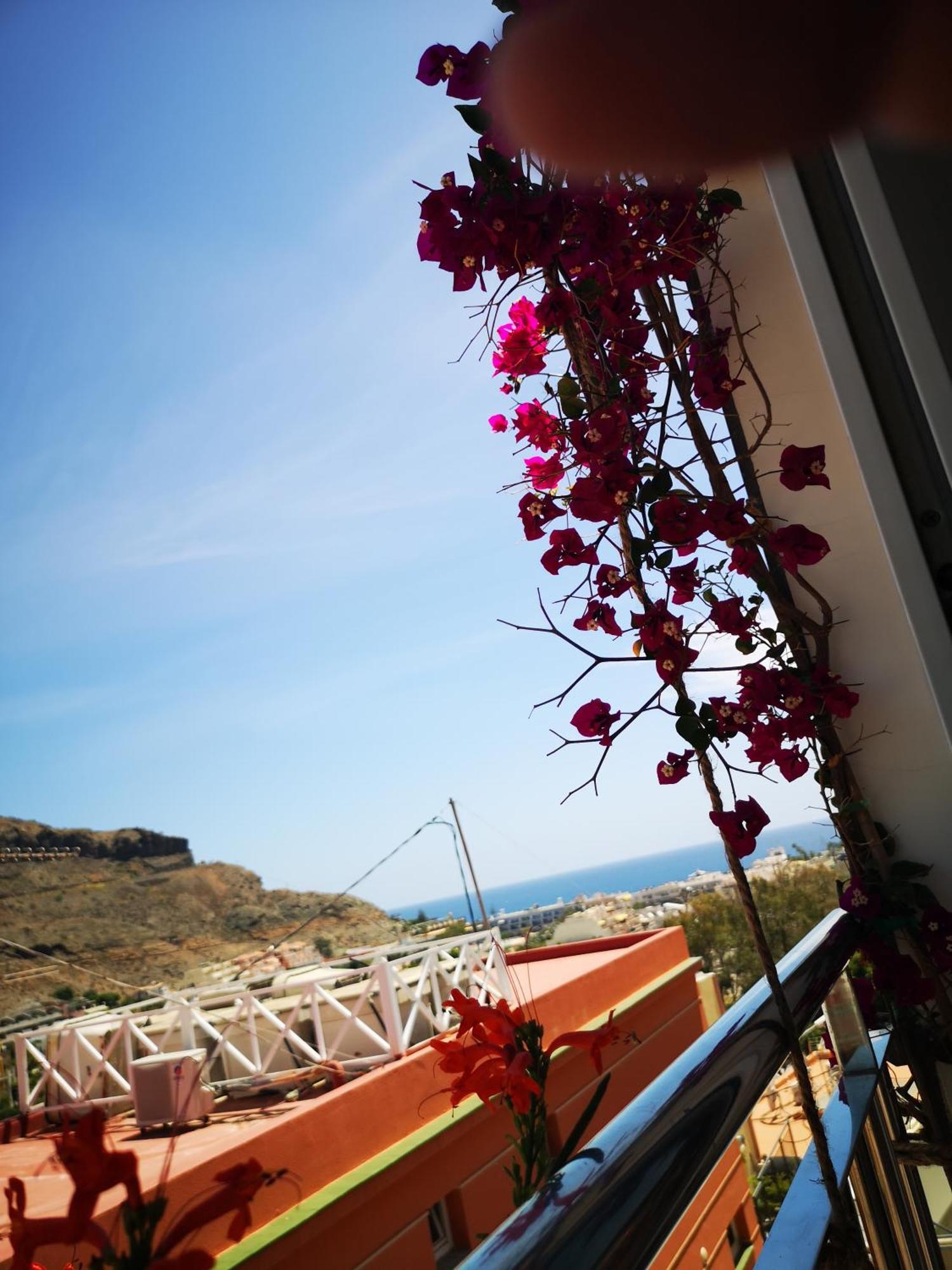 Appartamento Puerto De Mogan Sonneland Esterno foto